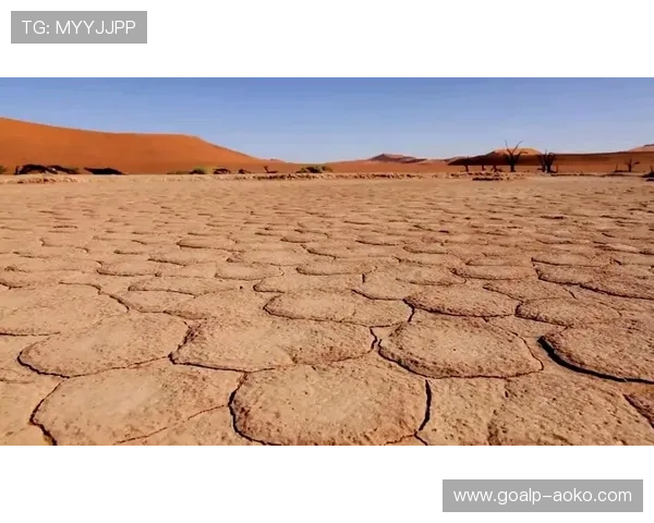 球星跨界挑战游泳足球竞技全新赛制震撼登场 球星跨界挑战游泳足球竞技全新赛制震撼登场