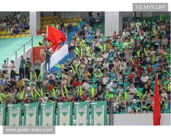 足球星之夜闪耀绿茵场 球迷狂欢共享顶级盛宴